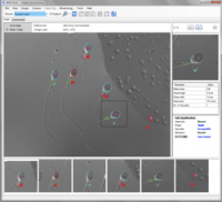 IMSI Strict Morphology